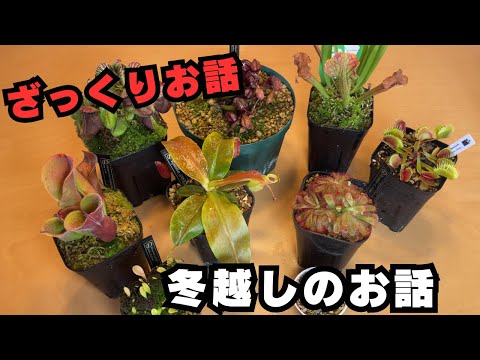 園芸 冬になると虫はどうなるの?