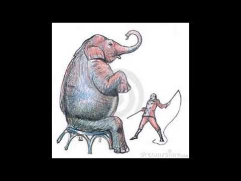 Tommyboy   Tsirkuse direktor HD