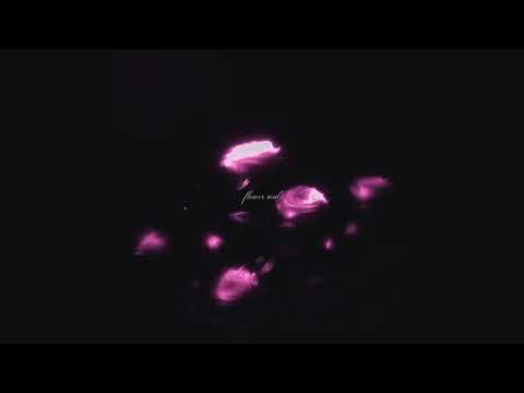 Nikita Lunar - flower soul (Official Audio)