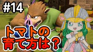 【DQB2】#14 親切なオークたちに色々教えてもらう！　ドラゴンクエストビルダーズ2 実況【ネタバレあり】