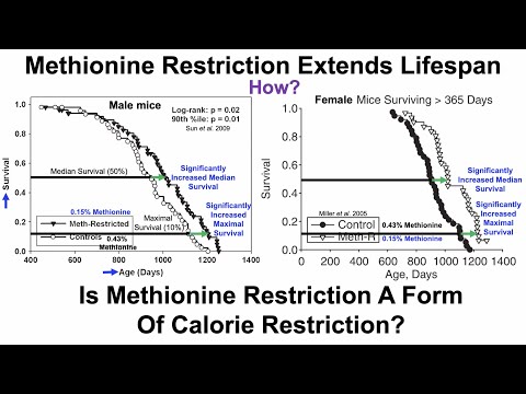 Methionine Restriction Extends Lifespan: Roles For SCFAs And FGF21, But Not Calorie Restriction