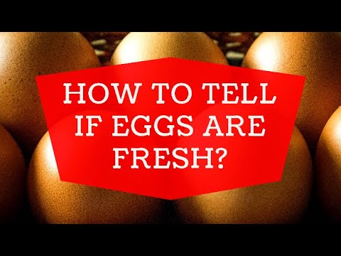 How to tell if eggs are fresh? 🥚🥚🥚