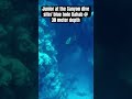 Junior On One Of The Best Dive Sites Ever DAHAB CANYON BLUE HOLE Only Divers Unterstand My Words