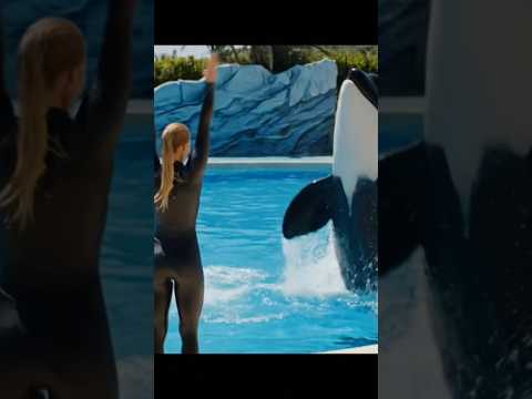 Jessica and orca bonding