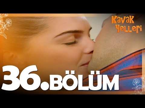 Kavak Yelleri 36. Bölüm - FULL Bölüm