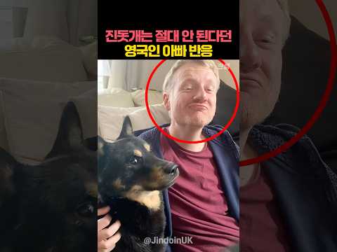 진돗개 입양을 반대했던 영국인 아빠 반응