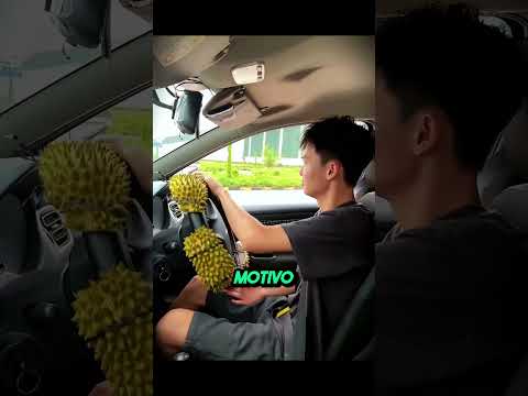 Fui REPROVADO na auto escola! 😭
