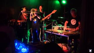 The Mike Dillon Band : Homeland Insecurity