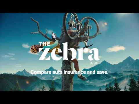 The Zebra: Tree Biker