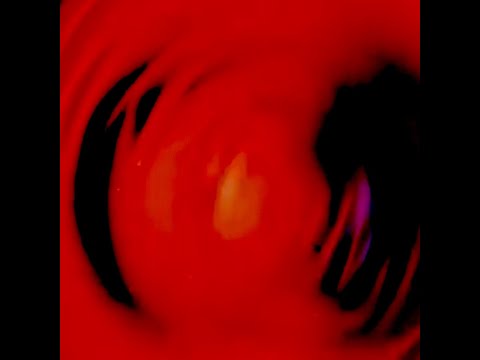 Dismantle - Feature Presentation || Stations || 2022