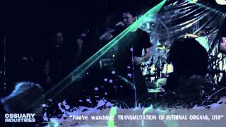 FORCEPS - Transmutation Of Internal Organs (official live video)