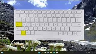 How to Enable or Disable Function Keys in Windows 10/11