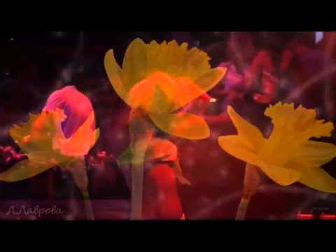 Навсегда   Надюля