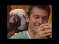 Zoboomafoo Grow Zoboo Grow Best Shows For Kids WildBrain Zigzag