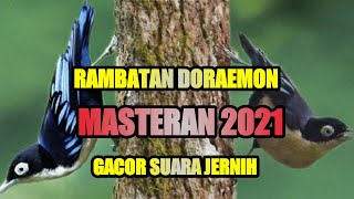 Download lagu MASTERAN RAMBATAN DORAEMON GACOR SUARA JERNIH mp3