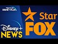Disney Renombra Los Canales De Fox En Latinoamérica Para Star Noticias De Disney Plus