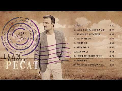 Ivan Milinković - Nagovara soko razvigora | [Official Music Audio]
