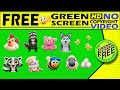 Green Screen Animal Funny Cartoon Animal Cat Cartoon Cat Animated Cartoon Dog Crate Pigs