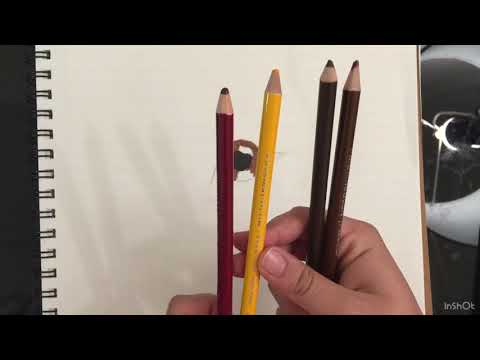 How to Draw Realistic Animal Eyes