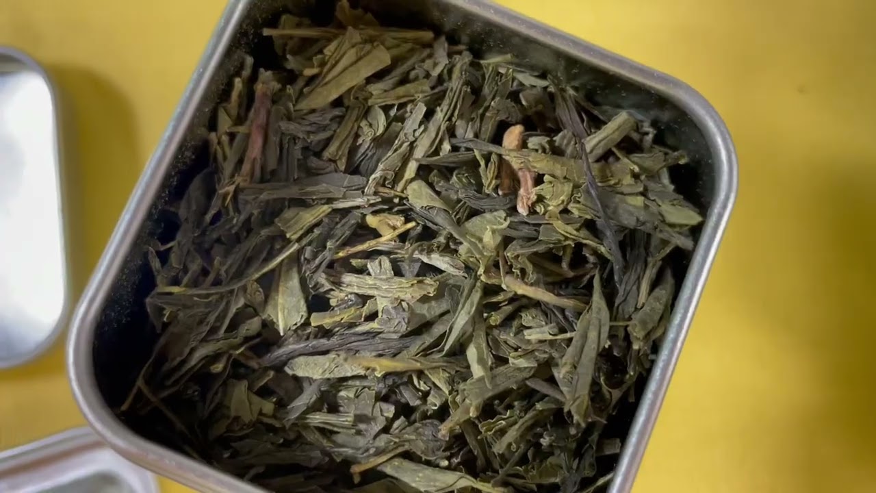 Tasty Pott Bio grüner Sencha Tee 50g Dose
