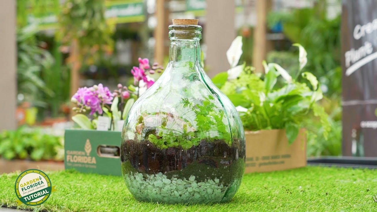Crea il tuo terrarium in 7 semplici passaggi!