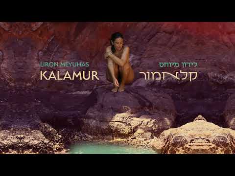 Liron Meyuhas / לירון מיוחס - La mia terra