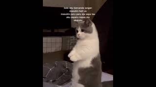 Download lagu Kalo Aku Bercanda Jangan Masukin ke Dalem Hati Ya! | Story Status WA 10 Detik | #shorts mp3