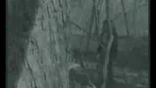 They Came For Your Daughter Trailer