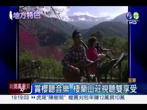 滿山粉嫩嫩! 南投宜蘭賞櫻開跑