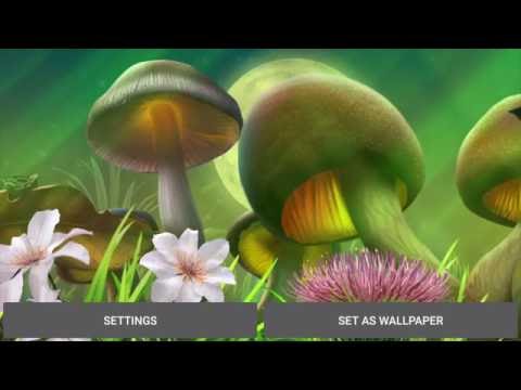 Nature live wallpaper Video