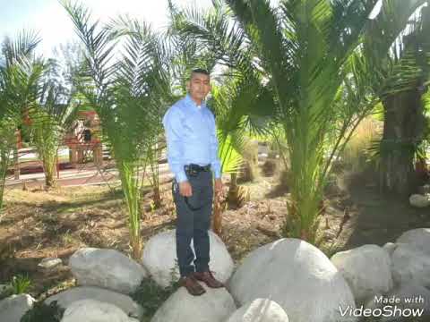 Armin van Buuren ft Cathy  Burton- Rain