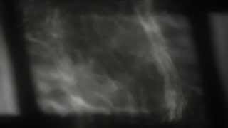 Summer Eyes by Félicia Atkinson