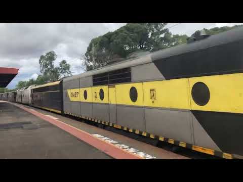 SSR Grain train at Seymour. CLP12 GM27 S303 CLF3