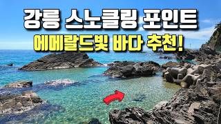 여기 진짜! 한국바다 맞습니다🤭(오키나와❌, 몰디브❌) | 강릉 스노클링 포인트 추천