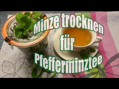 Als die Entzündung beim Ekzem abzunehmen Jodinol die Rezensionen bei der Schuppenflechte