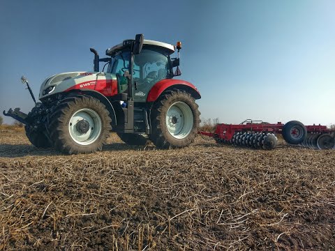 Legjobb találkozó helyén svájc