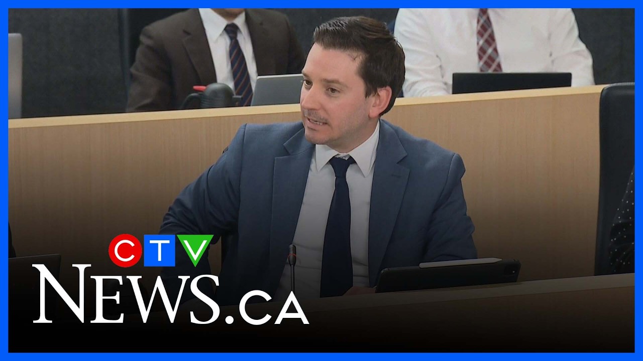 Anglophone group says proposed Quebec constitution makes no mention of English-speaking communities