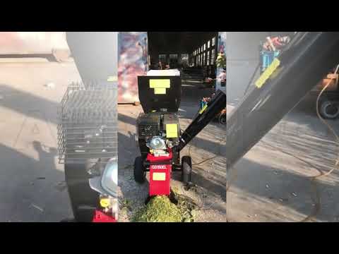 funktionsvideo Benzinhäcksler GeoTech GS150EL - Benzinmotor Loncin 15 PS - E-Starter