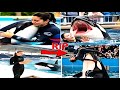 HORRIFYING Final Moments Of Orca Trainer Jessica Radcliffe Tributes