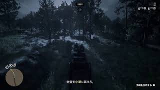 RDR２　７　雪山に籠る
