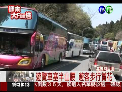 花季第一個週末 阿里山擠爆了!