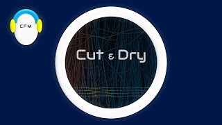 Cut & Dry -  Kevin MacLeod | Electronic & Dance Music