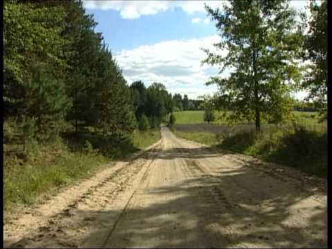 Hirschbrunft in Masuren Teil 2