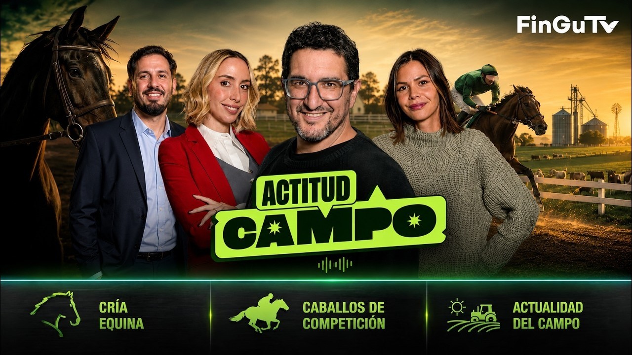 Cría equina, caballos de competición y actualidad
