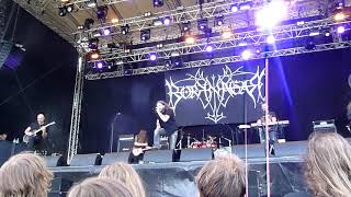 Borknagar - big part of "Cold runs the river" at Gefle Metal Festival