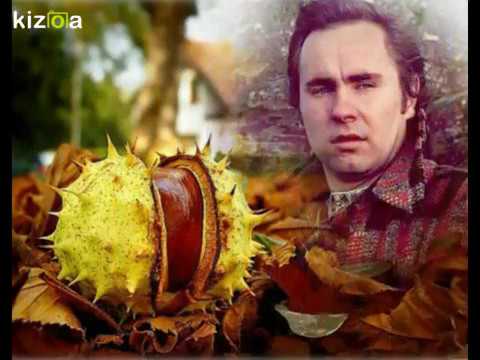 Wojciech Skowronski & Blues Trio - Kasztanowe marzenia