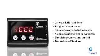 Single Ramp Timer Add Dawn, Dusk to Your LED Lights