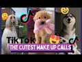 Hi Hi Good Morning Best TikTok Compilation of Pets - Cute Dogs & Cats In The Morning