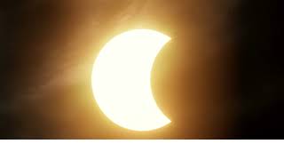 Preparing for the Buzz: The 2024 solar eclipse and the re-emergence of the 200 year cicada.