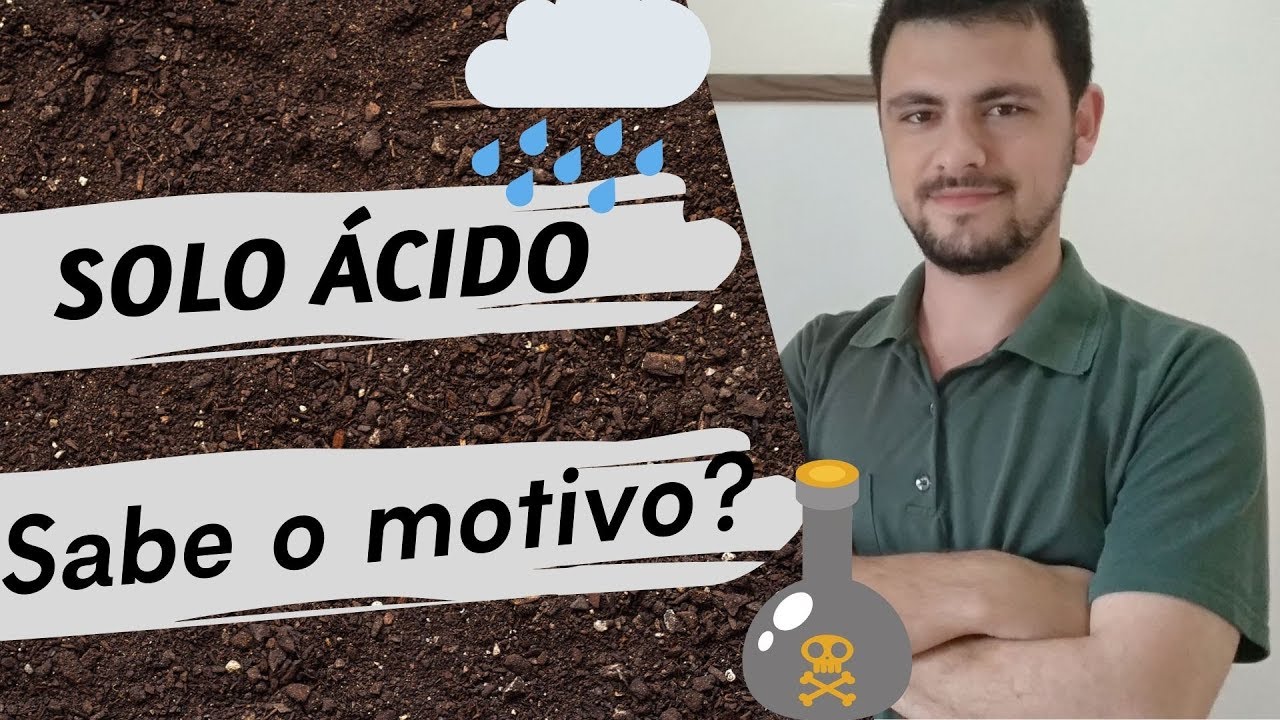 Acidez do solo – sabe porque ela acontece?